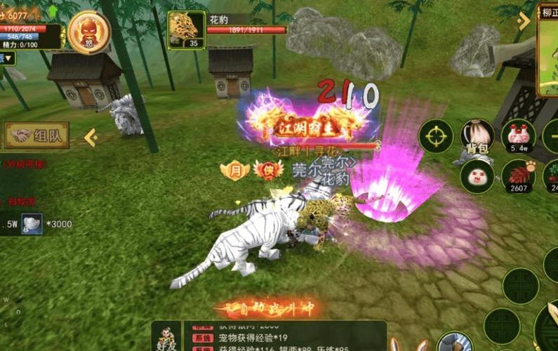热血江湖sf_热血江湖sf2.0最新发布网_热血江湖sf私发网